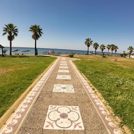 William's - Cute סבטי ולאס