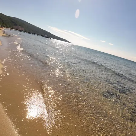 William's - Cute Свети Влас