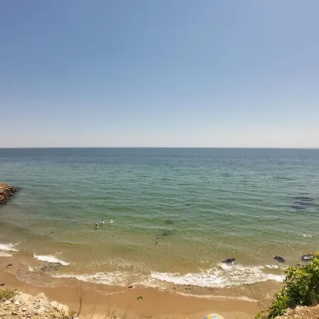 William's - Cute * סבטי ולאס