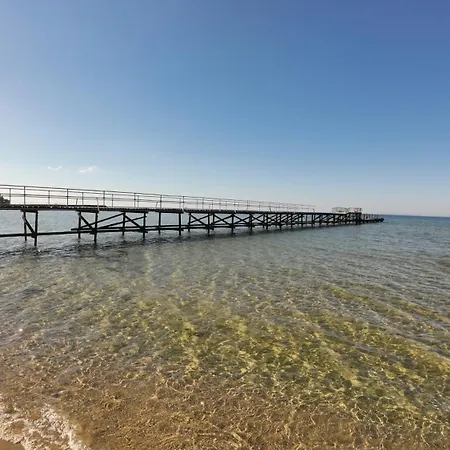 William's - Cute * Свети Влас