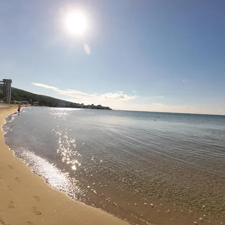 William's - Cute סבטי ולאס