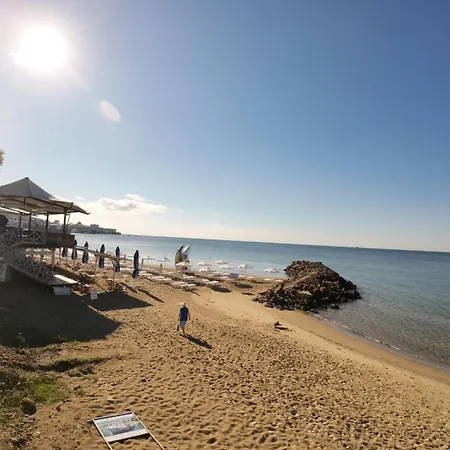 William's - Cute Свети Влас