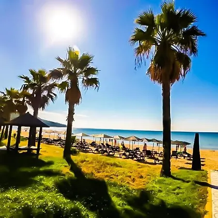 William's - Cute סבטי ולאס