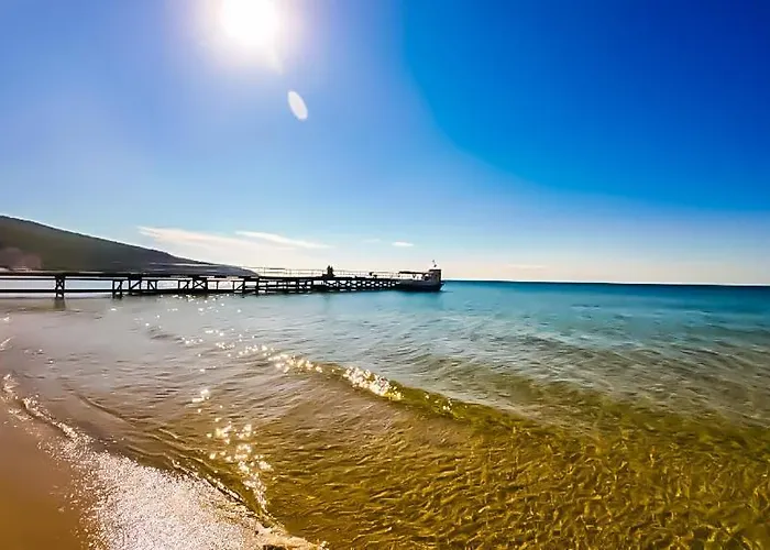 William's - Cute Apartment